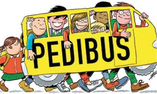 media/k2/galleries/7264/thumbs/pedibus_dessegn_RGB.jpg