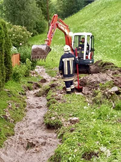 Stüdafüch da La Val al laur. (Foto: Stüdafüch)
