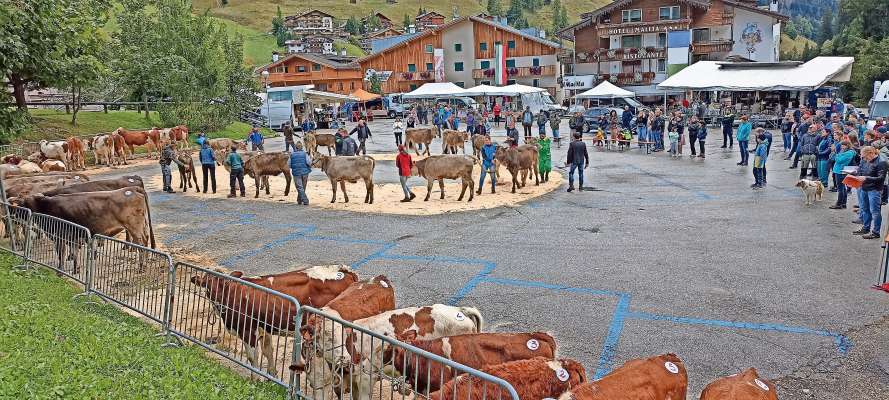 N »Pat Ladin« ntra le val del Sela su turism e agricoltura