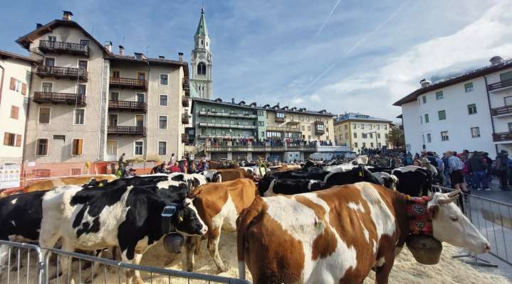 Dute inze ‘l vecio piazal de el mercà, par ra benedizion.
