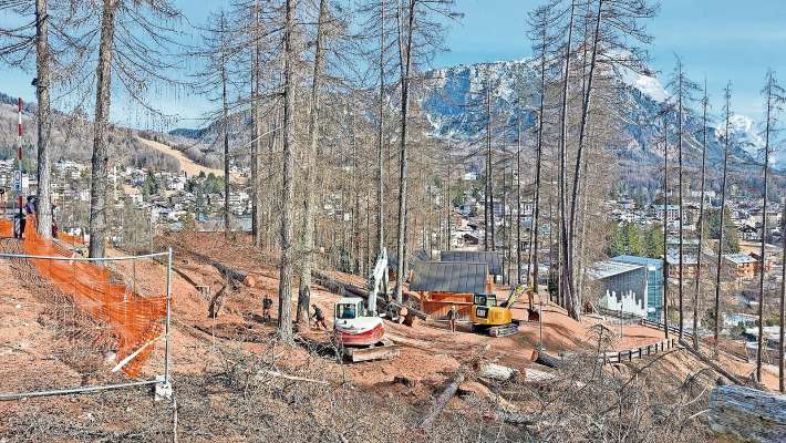 I prime brascioi che i à taià a Ronco de febraro de sto an, ignante de daerśe el cantier par ra pista olimpica Eugenio Monti.
