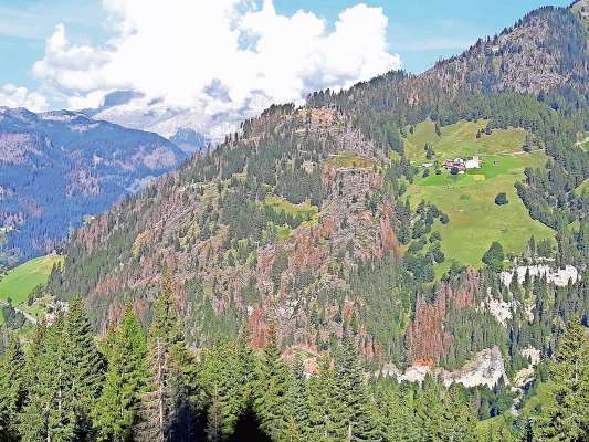 »I bosć desanchei da Vaia sot al Col de Lana«.
