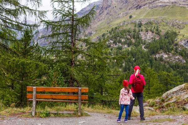 media/k2/galleries/29833/thumbs/rear-view-man-walking-mountain.jpg